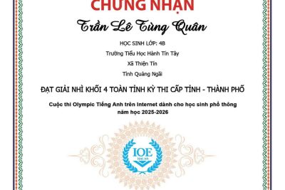 Kết quả thi IOE cấp tỉnh – Thành phố của học sinh trường Tiểu học Hành Tín Tây- Năm học 2025- 2026